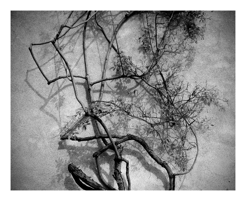 06 copy contrasto.jpg