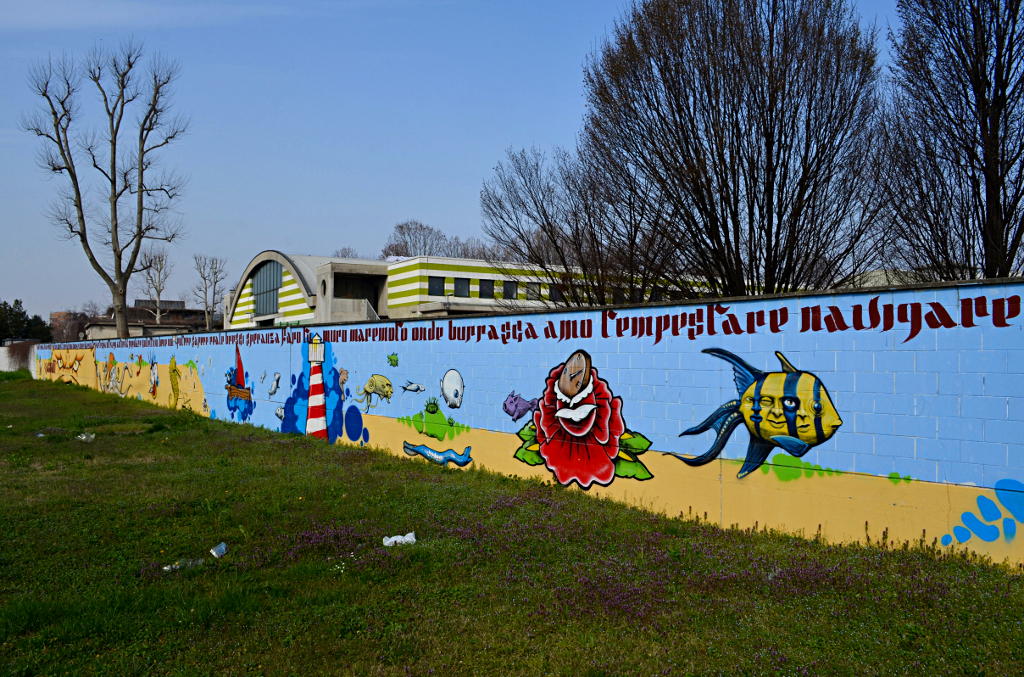 07.JPG