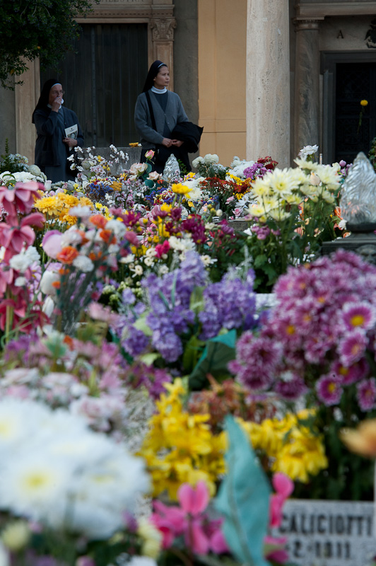 07 fiori e sorelle.jpg