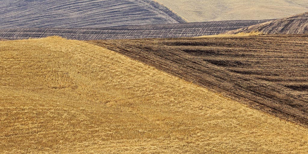 08.Toscana-054---AU0Z7569-copia---Copia.jpg