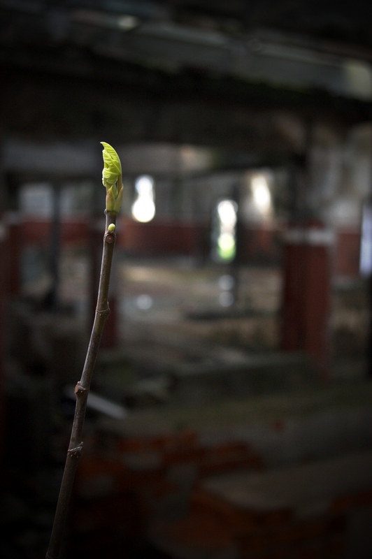 08.jpg