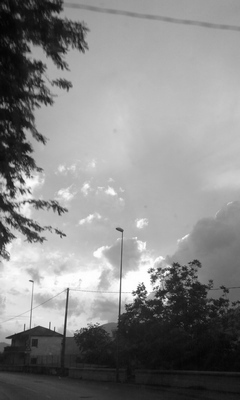 08.jpg