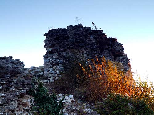 08.jpg
