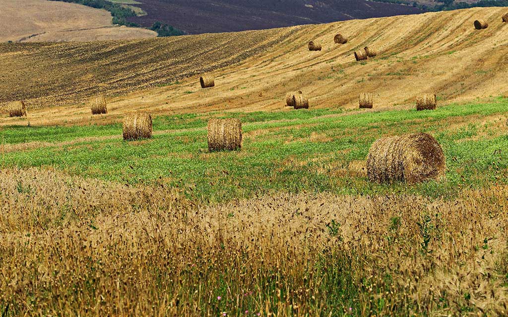 09.Toscana-060---AU0Z7626-copia---Copia.jpg
