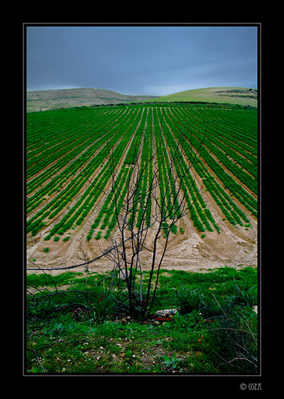 090202_SS514_14_sRGB_low.jpg