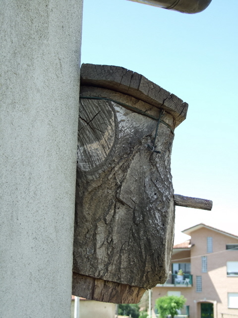 090607 nido.jpg