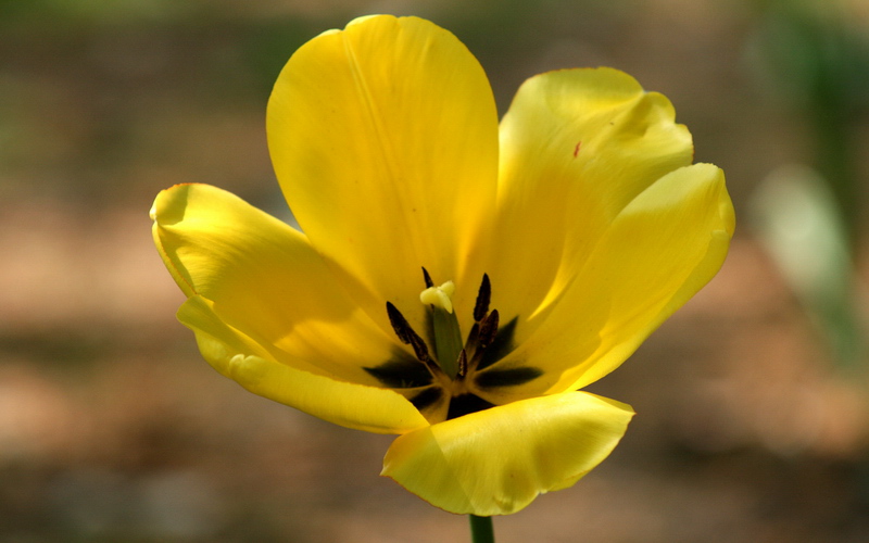 0943_small.jpg