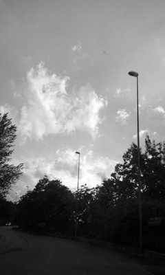 09.jpg