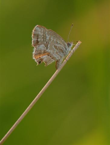 0 (Small).jpg