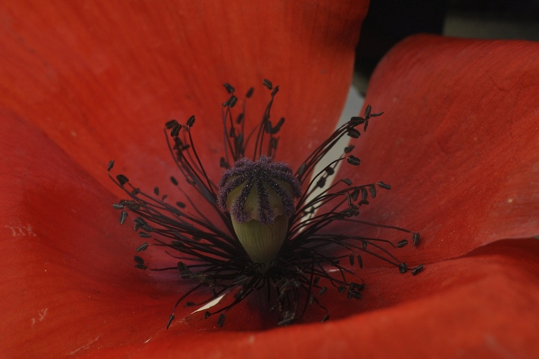 1-4 f16 iso 100.JPG