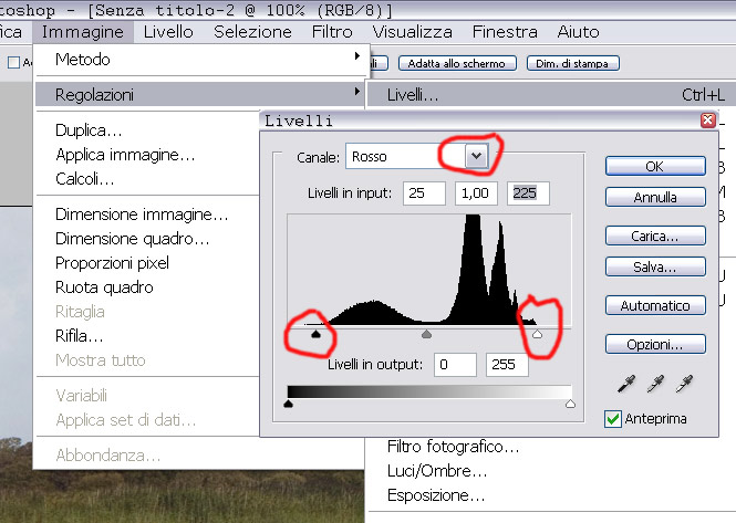 1-livelli.jpg