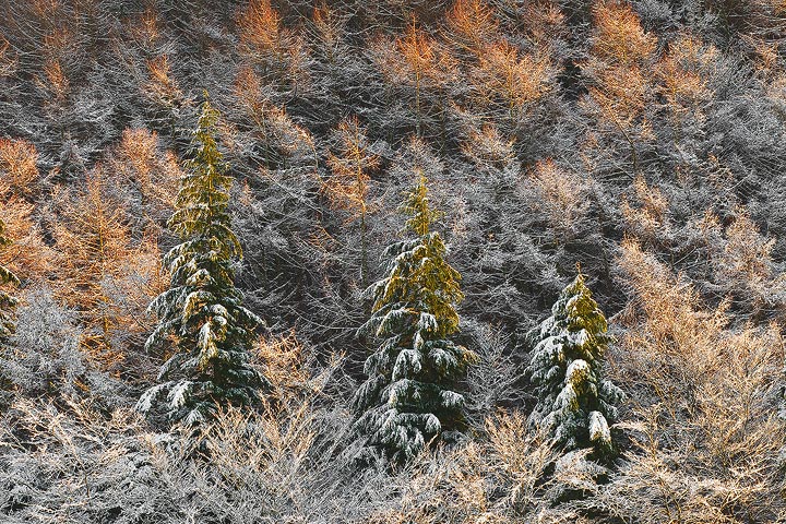 10-Christmas.jpg