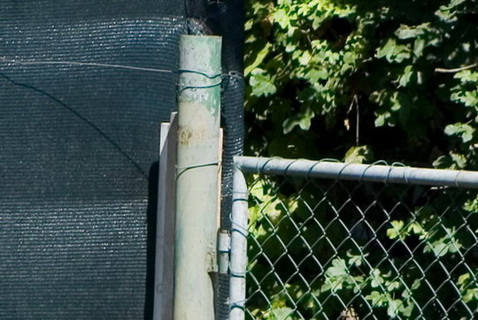 100-300apo crop.jpg
