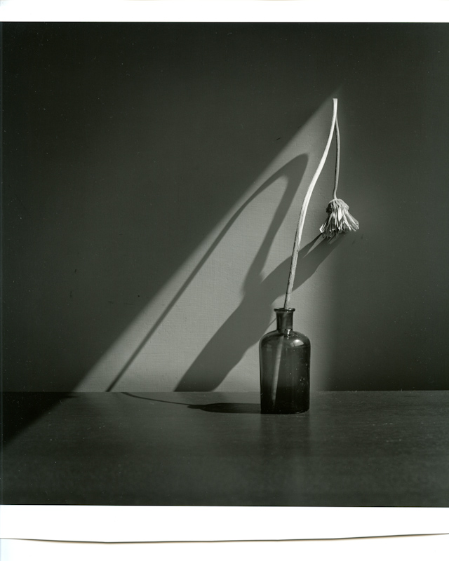 100528-FP4ID11-09Scan01.jpg
