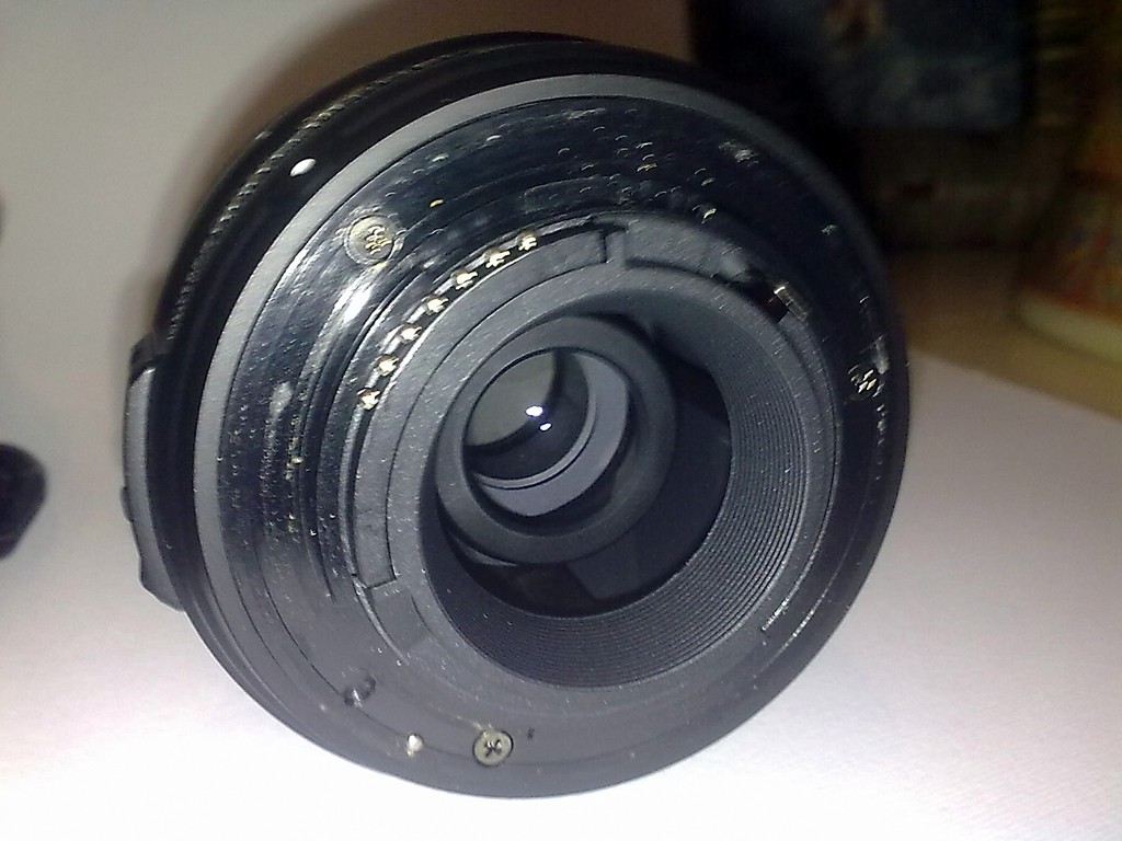 10062010084.jpg