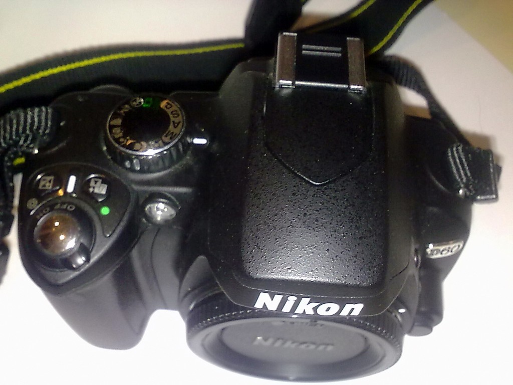 10062010086.jpg