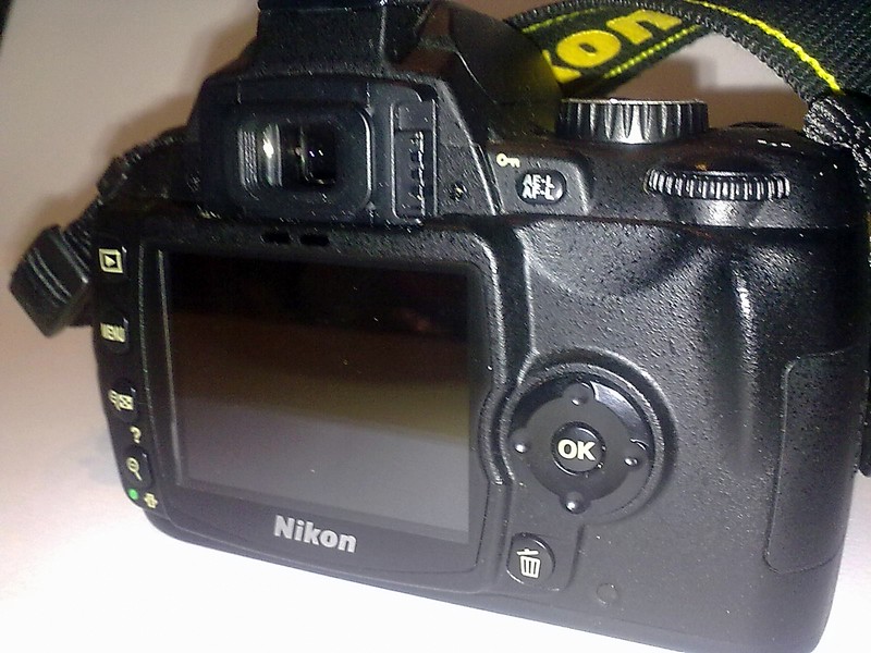10062010088.jpg