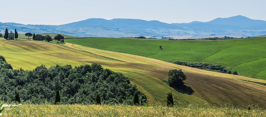 10062018-Val D'orcia-040 B-P.jpg