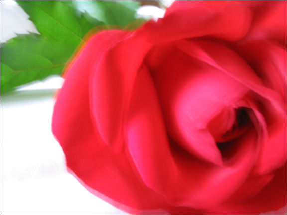 100_0046.jpg