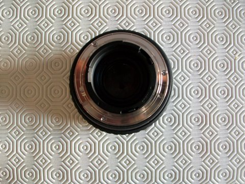 100_0579.JPG