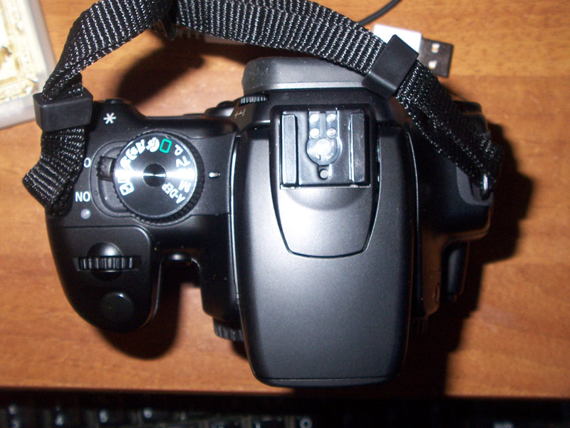 100_0776.JPG