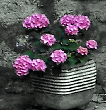 100_1367.jpg