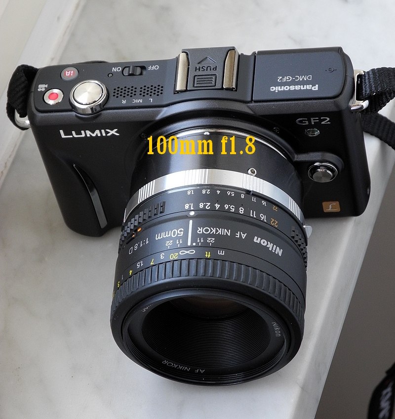 100 f1.8.jpg