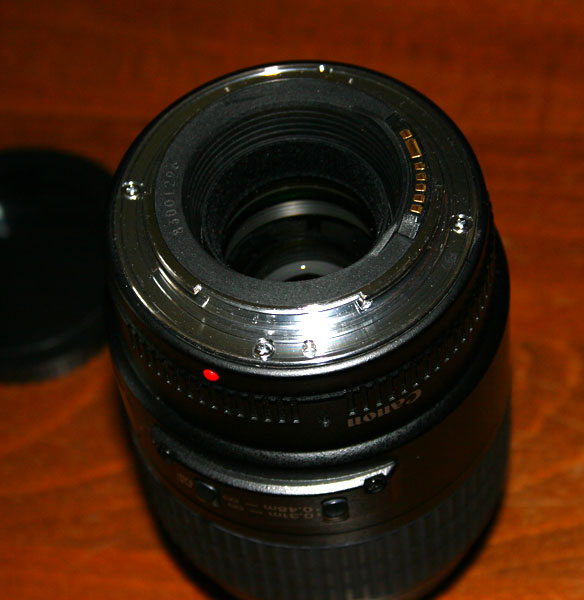100d.jpg