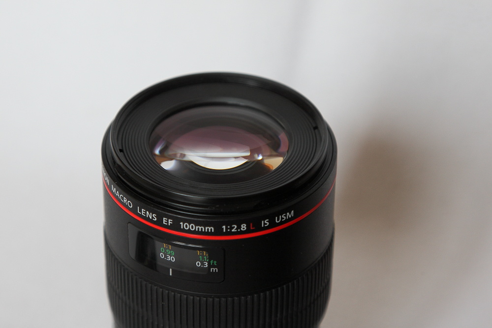 100L macro VENDITA__4.JPG