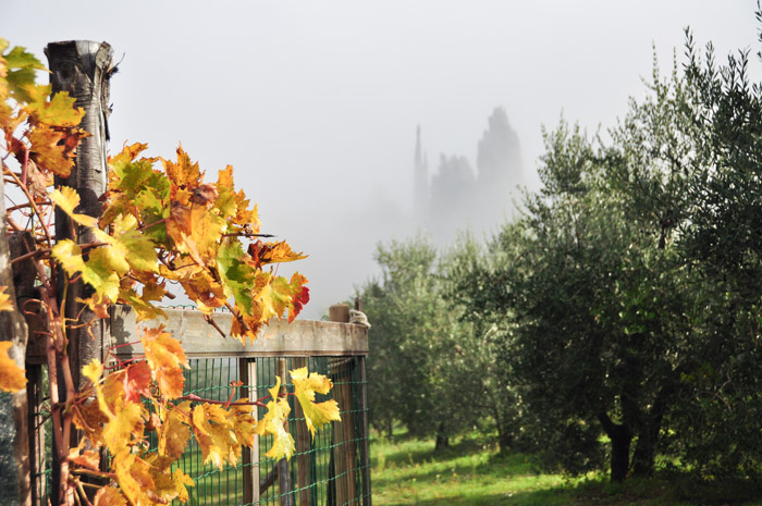 101106_colori_autunno.jpg