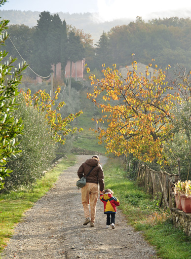 101106_salita_ele.jpg