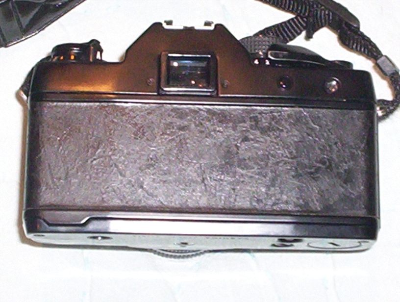 102_1891.jpg