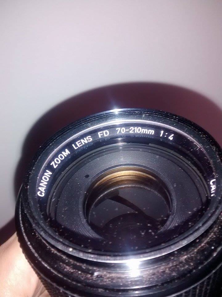 10904384_10204574636978972_1438119165_n.jpg