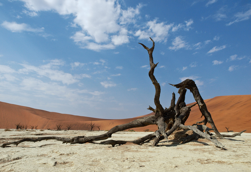 10 Dead-Vlei-sec-versweb.jpg
