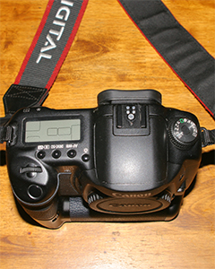 10D-1.jpg