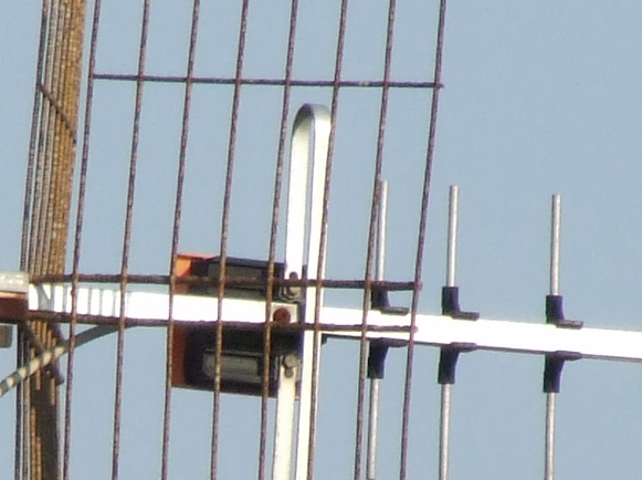 10x + tcon crop.jpg