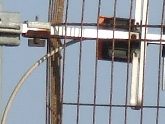 10x ottico + digit crop.jpg