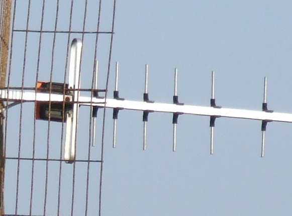 10x ottico crop.jpg