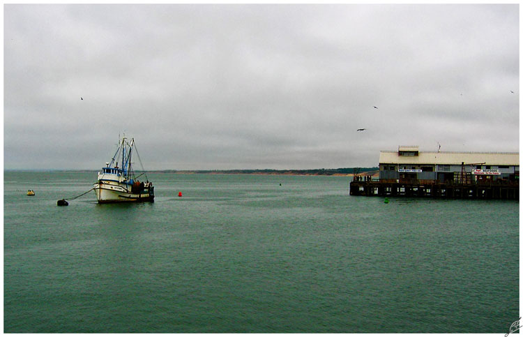 11---Monterey.jpg