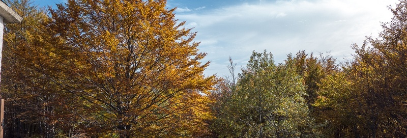 1136x384.jpg