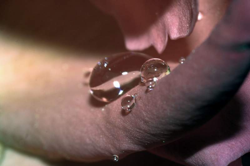 12-10 0332.jpg