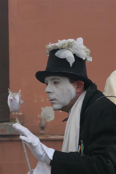 12-IMG_8868 (Medium).JPG