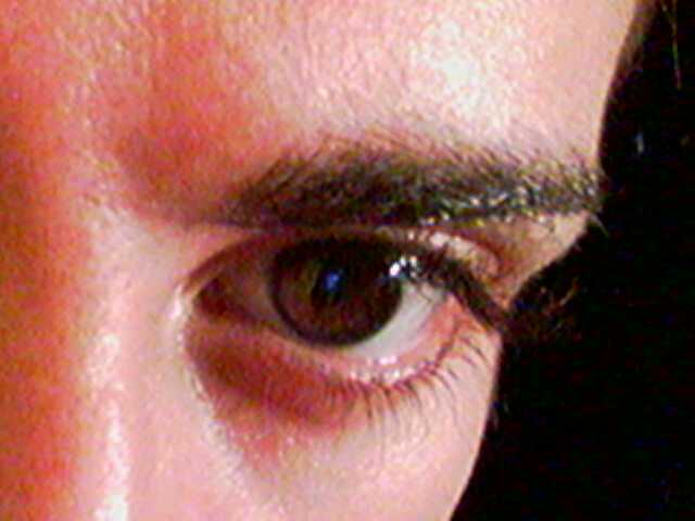 12102006120.jpg