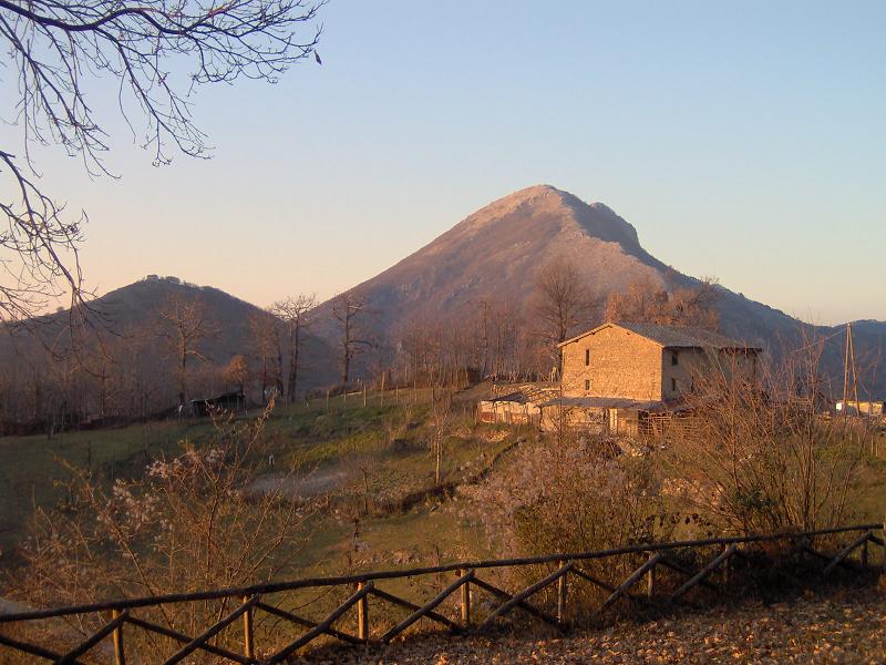 1235.jpg