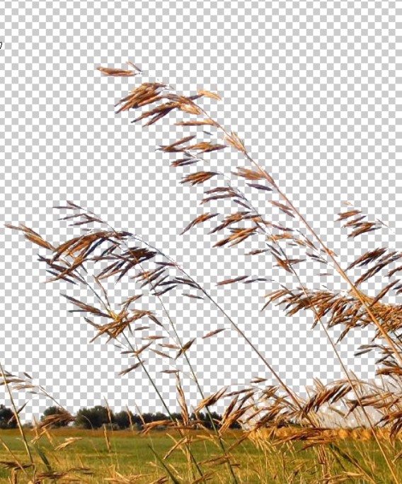 1280.jpg