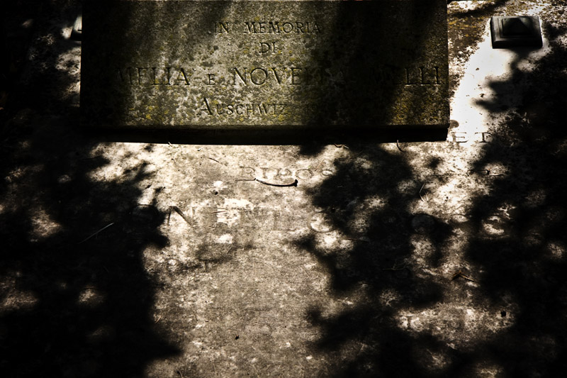 12_D_037_067copia.jpg