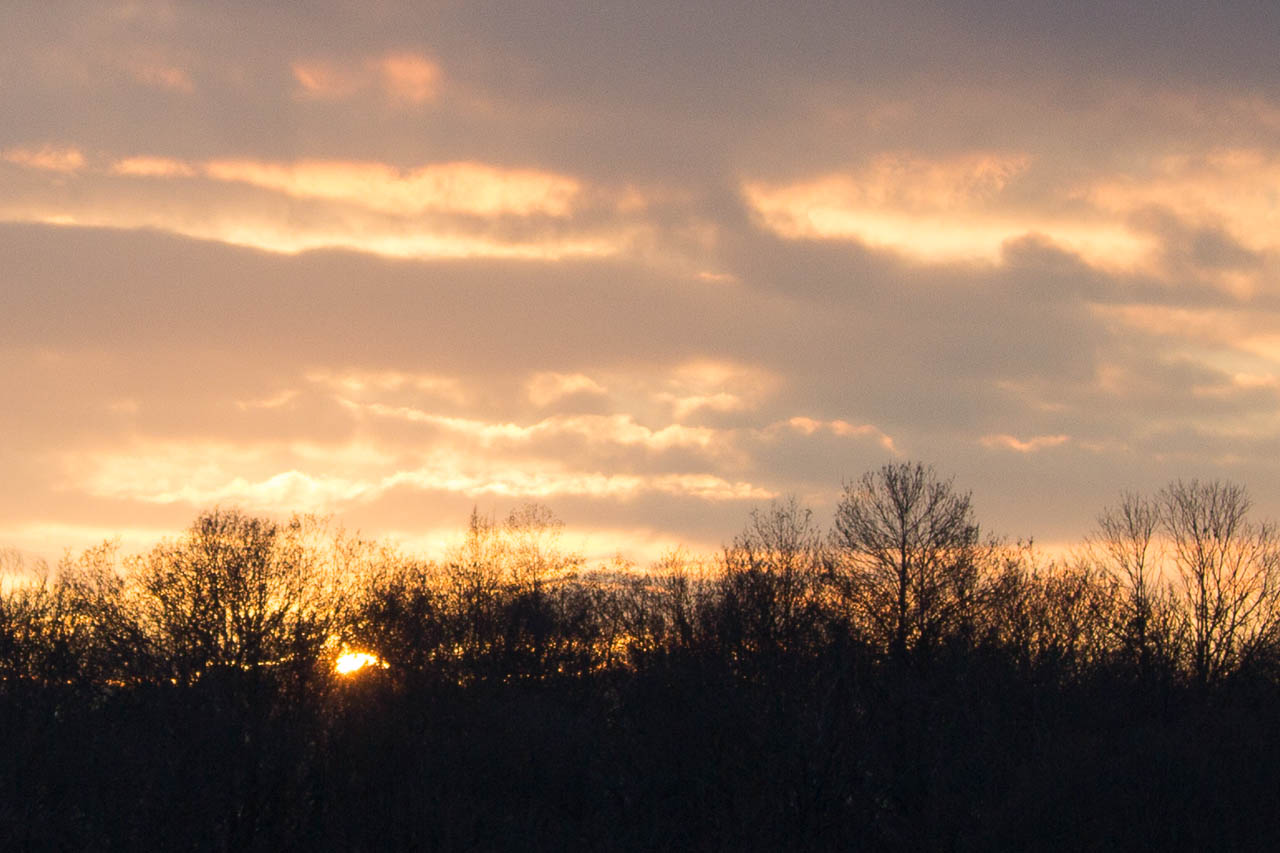 130126-130126-IMG_3155.jpg