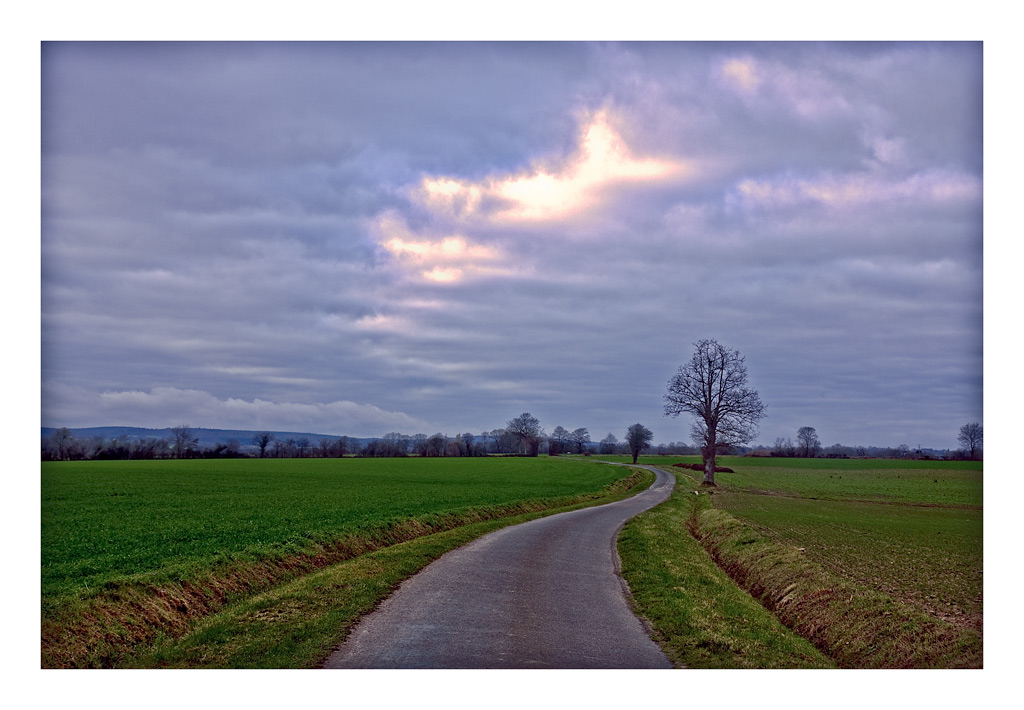 132-2Edit.jpg