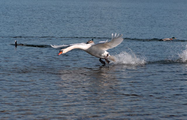 138DSC_0183_1.JPG