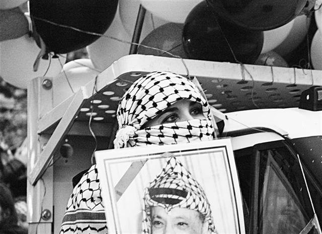 13 (Medium) (Small).jpg